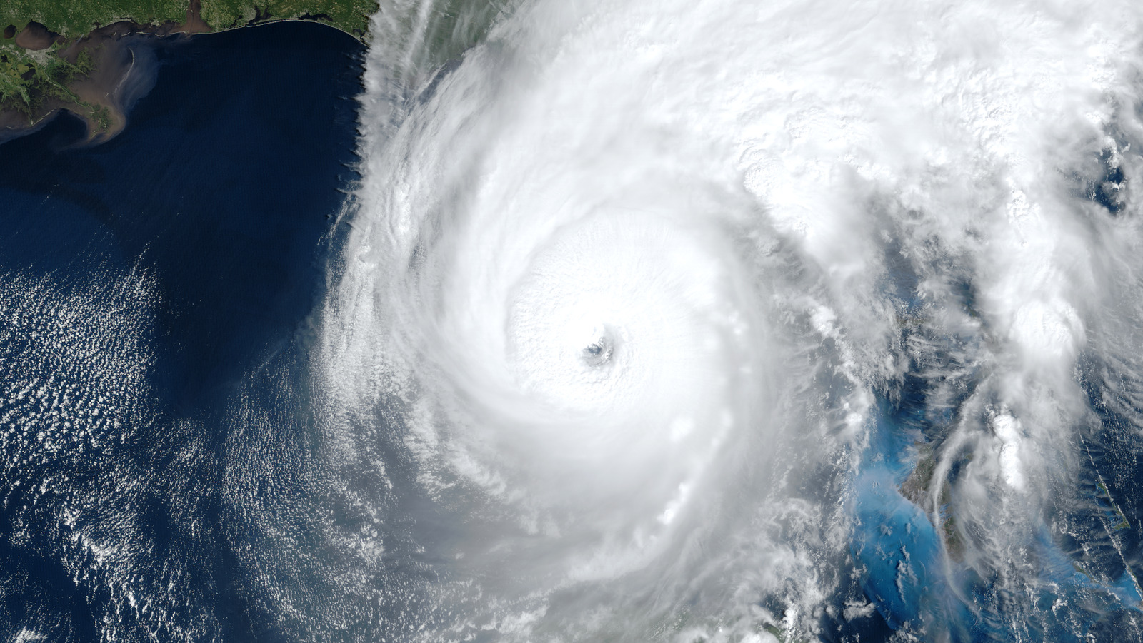 Publix Is Helping Hurricane Preppers Ease Their Anxiety