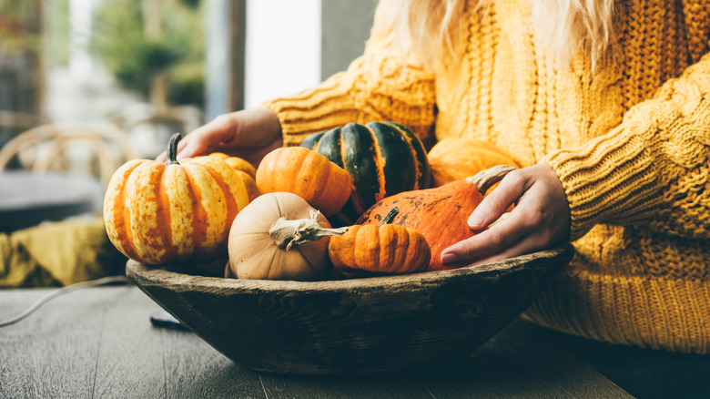 pumpkins and gourds in bowl