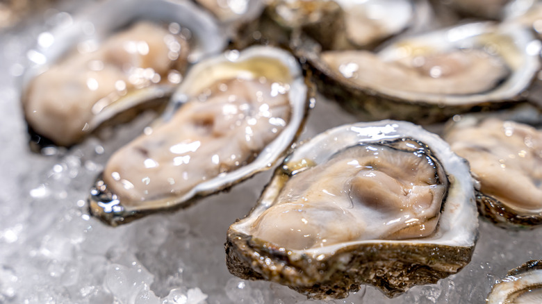 Raw oysters on the half shell 