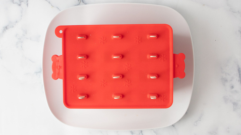 red plastic popsicle molds with popsicle sticks