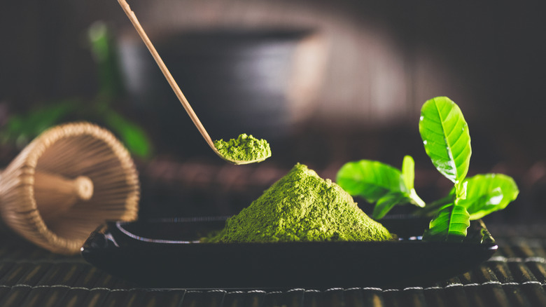 A scoop of matcha powder above a black serving tray with a green plant