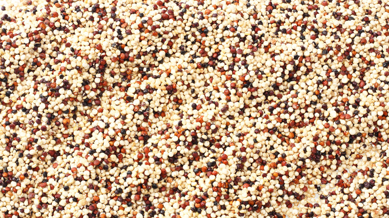 red and white quinoa