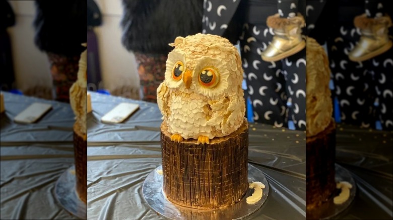 Rahul Mandal with owl birthday cake