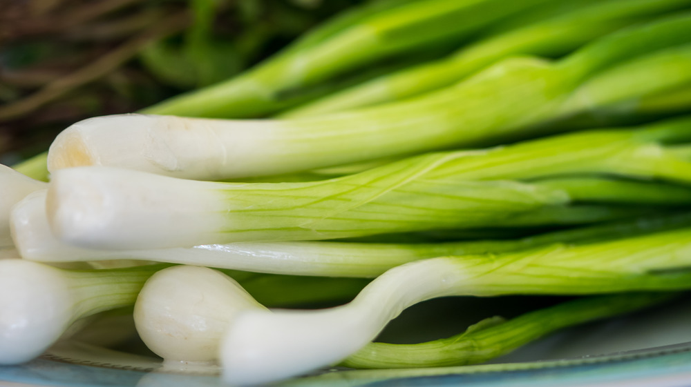 Ramps Vs Scallions What s The Difference 