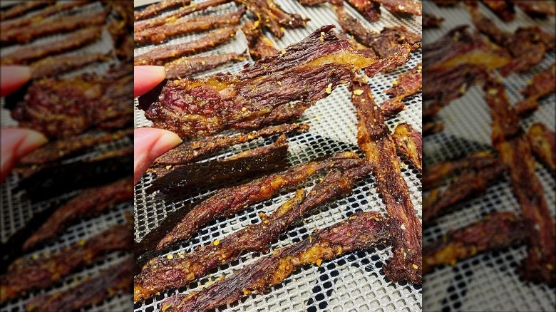 Beef jerky made from brisket on drying rack