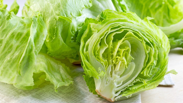 fresh iceberg lettuce chopped