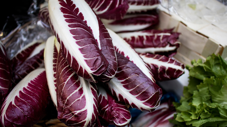 elongated radicchio red leaves