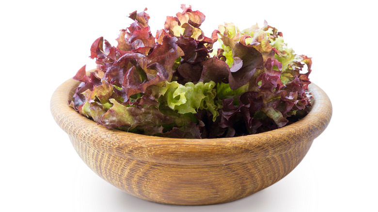 red leaf lettuce in wood bowl