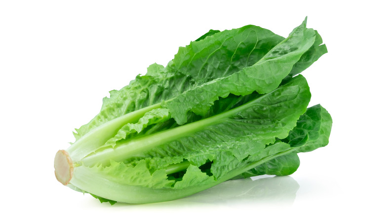 heart of romaine lettuce