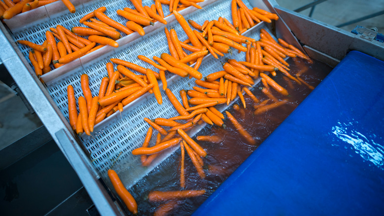 carrots being rinsed