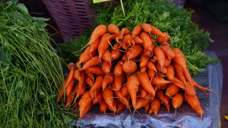 regular carrots pulled from ground