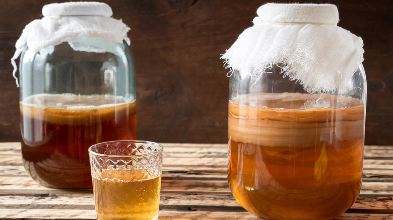 Jars of kombucha