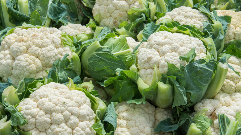 Many heads of cauliflower with leaves