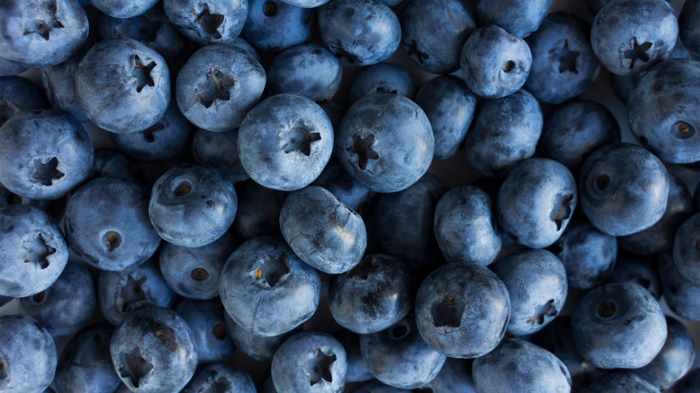 closeup of fresh blueberries