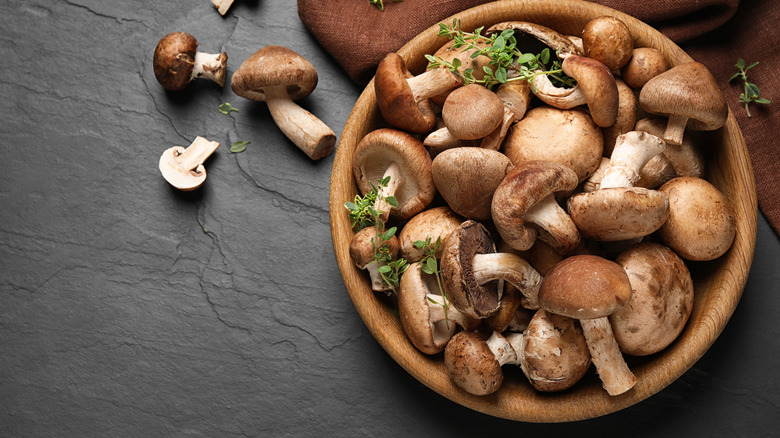 Bowl of wild mushrooms and herbs