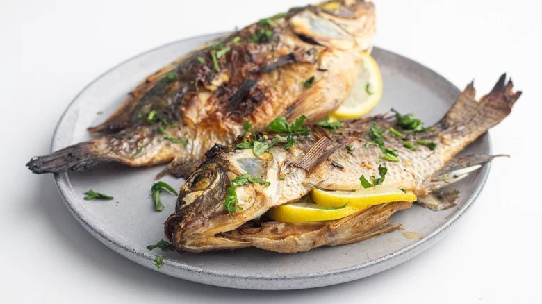 Whole grilled tilapia on plate