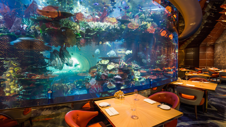 fish tank in restaurant dining room