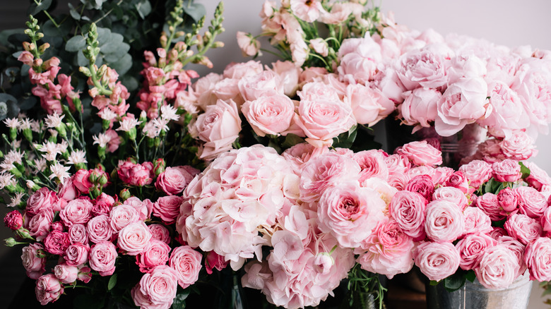 Large selection of pink peonies