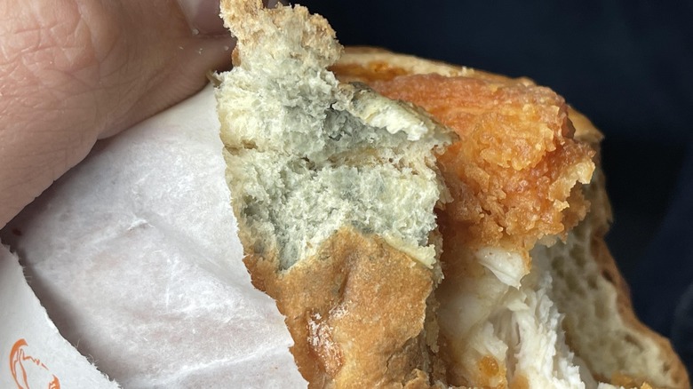 A moldy piece of bread from Popeyes