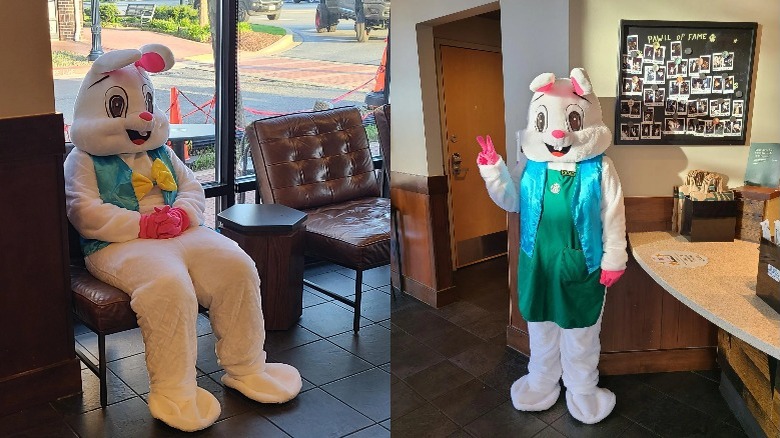 Starbucks Easter bunny cosutmes