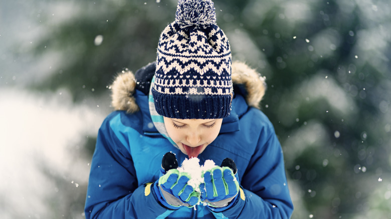 child eating fresh snow outdoors