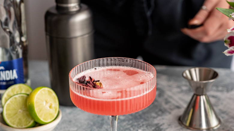 refreshing cosmopolitan with hibiscus flower 