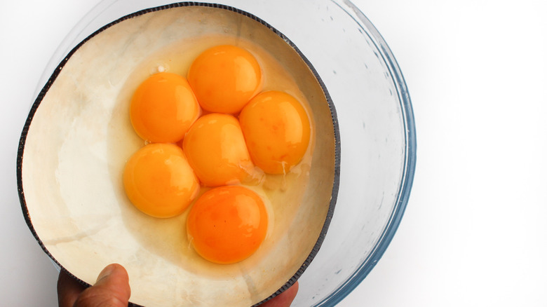 Egg yolks for curd