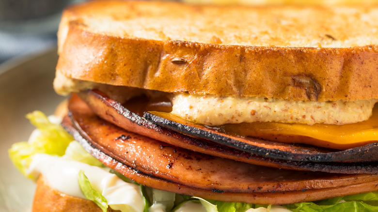 closeup fried bologna toasted bread