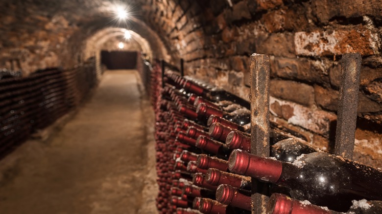 Wine bottles in a cellar