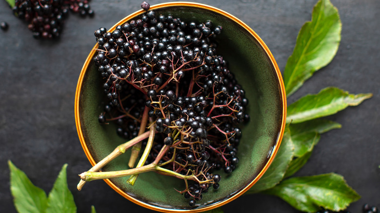 Bowl of elderberries