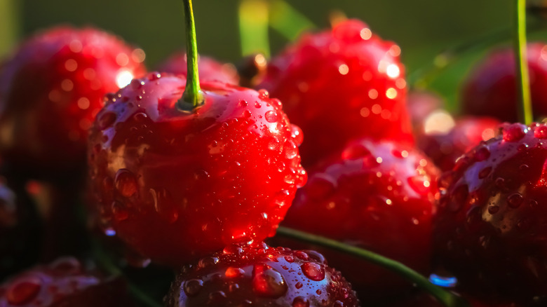 cherries with water droplets