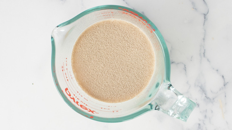 Milk and yeast in measuring cup