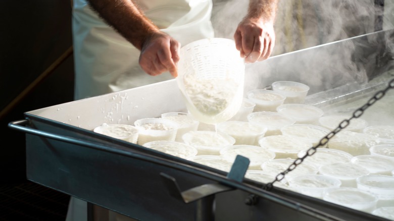 making ricotta