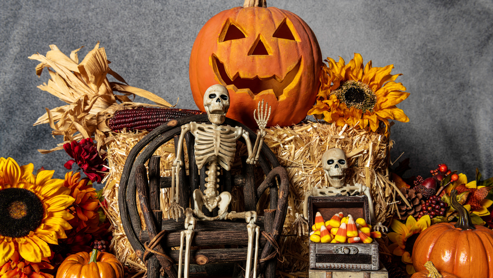 Rite Aid Announces Halloween 'TrickOrTrivia'