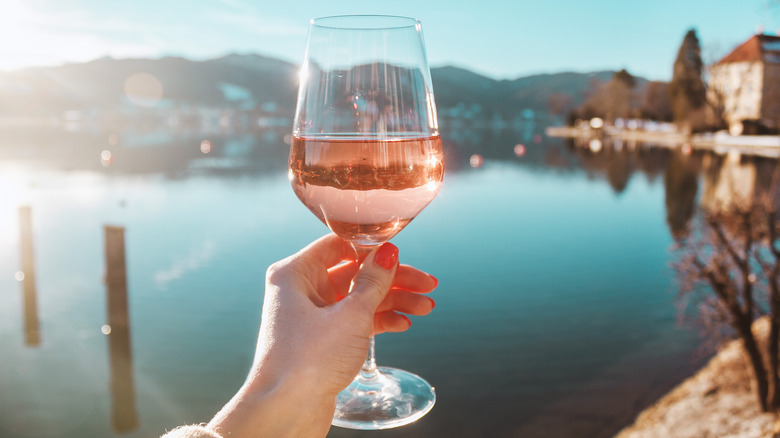 Rose wine glass with mountains in the background