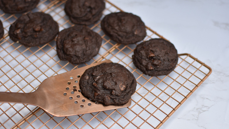 A spatula placing a double chocolate chip cookie next to other cookies on a wire rack