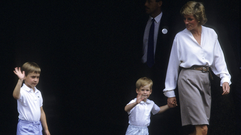 Princess Diana with young Harry and William
