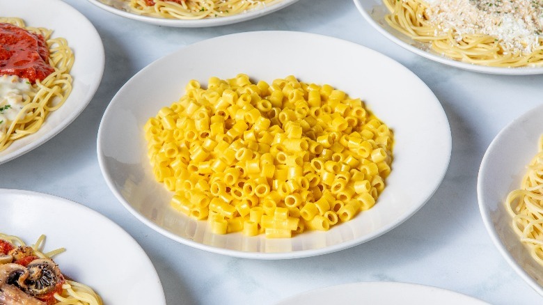 Macaroni, different plates of pasta 