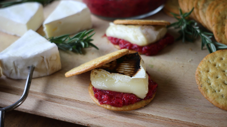 savory s'more with roasted brie and cranberry relish smushed between two herb crackers