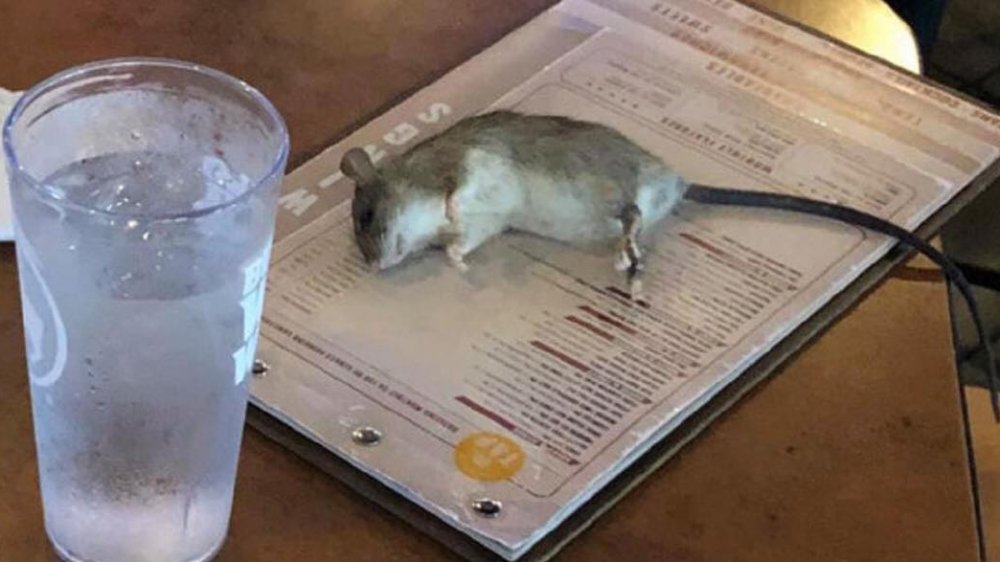 rat on menu in buffalo wild wings