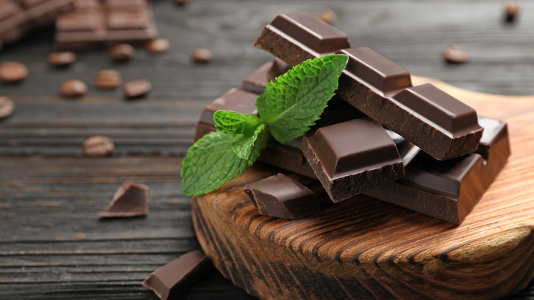 close-up of chocolate pieces with sprig of mint on top