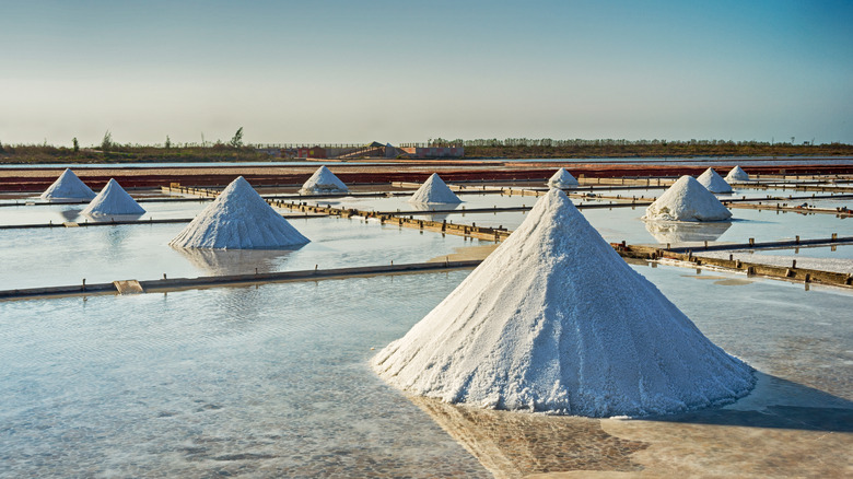 Piles of salt being harvested