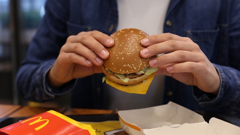 person holding a McDonalds burger