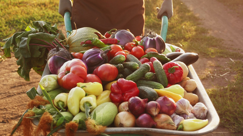 farmer with wheelbarrow of produce