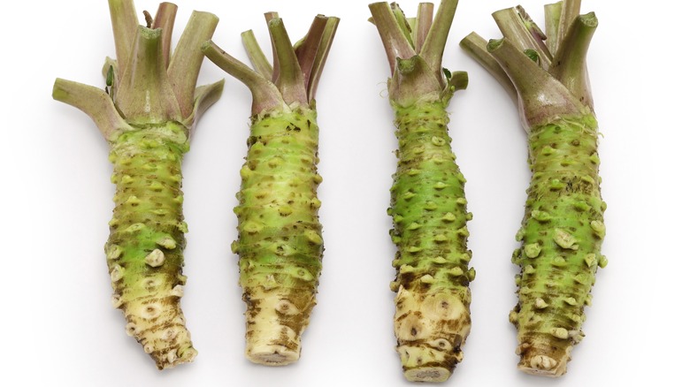 wasabi root