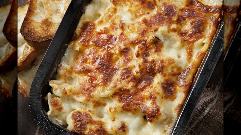 Tray of chicken Alfredo pasta