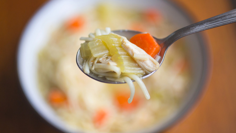 Spoonful of chicken noodle soup