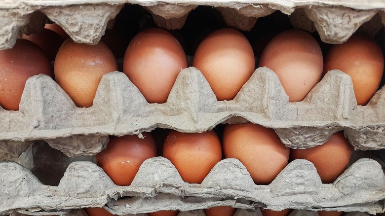 Trays of eggs