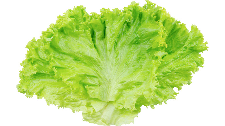 lettuce