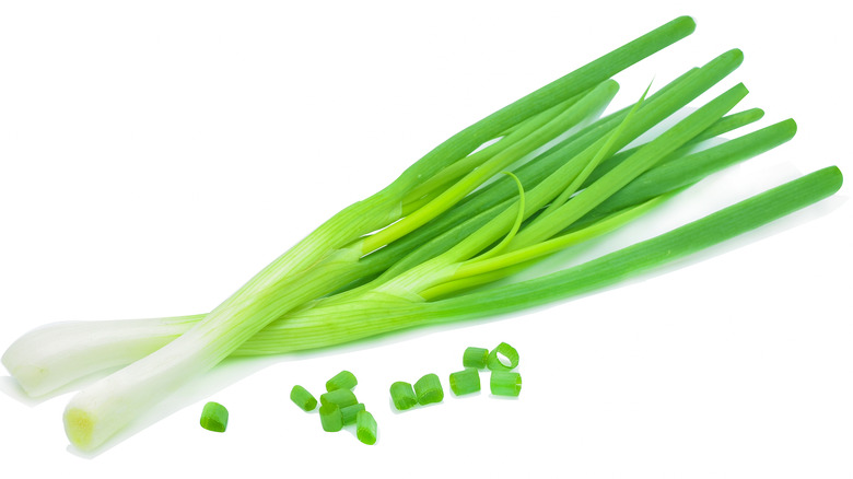 Green onions scallions on a white background